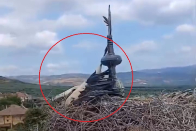 Bursa'da cami kubbesinde ayağı aleme sıkışan leyleği kurtarma anları kamerasında