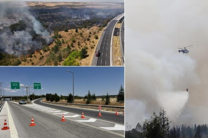 Kırklareli'nde ağaçlık alanda yangın! Avrupa Otoyolu trafiğe kapatıldı