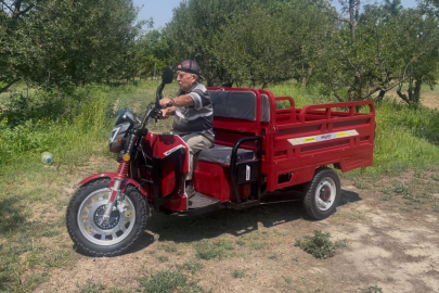 'Patpat'ların tahtını "elektrik" çarptı