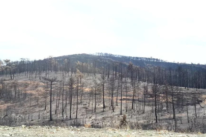 TMMOB Bursa'dan Harmancık'a geçmiş olsun ziyareti