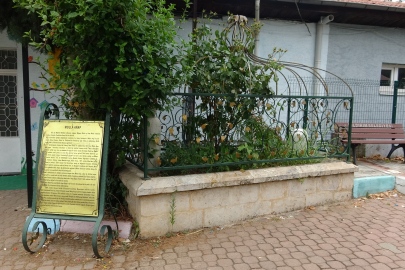 Bursa'da Osmanlı'nın önemli aliminin kabri, yalnızlığa terk edildi!