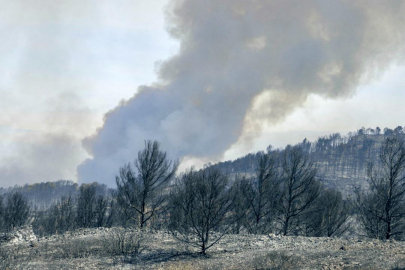 Fransa'da 16 bin hektardan fazla alanı küle çeviren yangın henüz kontrol altına alınamadı