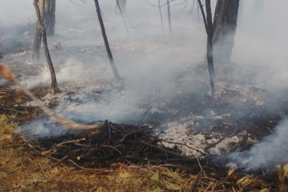 Ormanlık alanda çıkan yangın büyümeden söndürüldü