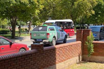 Eskişehir'de esrarengiz olay: Farklı noktalarda ölü kediler bulundu