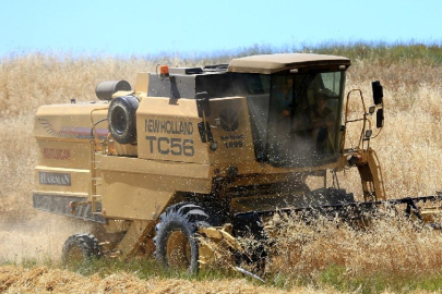 Küresel gıda fiyatları temmuzda yükseldi