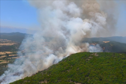 Bursa'da korkutan orman yangını açıklaması! Risk arttı: Sıcak, rüzgar ve nem...