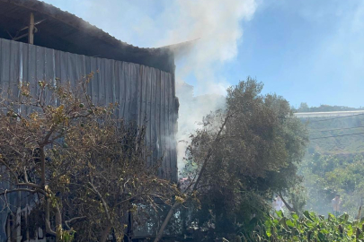 Antalya Alanya'da mobilya atölyesinde yangın