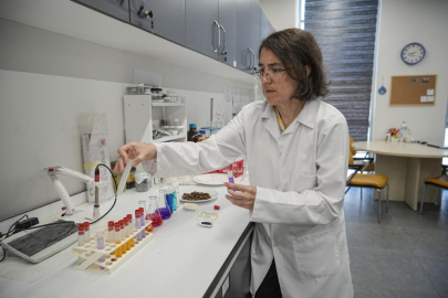 Bursa'nın zehir akan Nilüfer Çayı'na organik atık çözümü