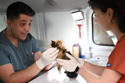 Bursa Yıldırım'da patili canlara mobil hizmet
