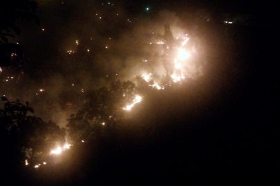 Aydın Köşk'te çıkan orman yangınına müdahaleler sürüyor