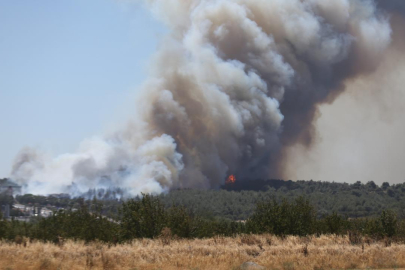 Çanakkale'de orman yangını!