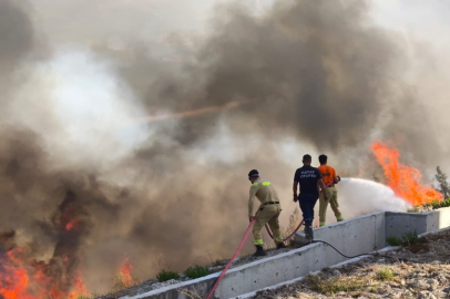 Hatay'da orman yangını çıktı