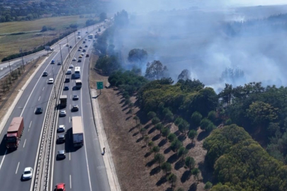 İstanbul TEM'de çıkan yangın söndürüldü