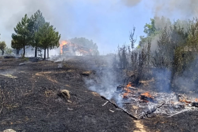 Kastamonu'da ormanlık alanda başlayan yangın kümes ve barakaya sıçradı