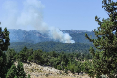 Mersin'de orman yangını