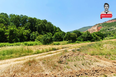 Resmen onay çıktı: Bursa İznik'te ormanın ortasına taş ocağı açılacak!