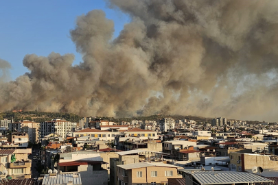 İzmir Buca'da orman yangını
