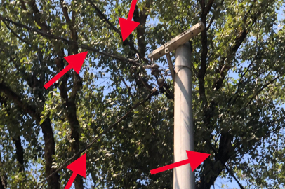 Bursa'da orman yangınına davetiye çıkaran ihmaller! Elektrik kabloları...