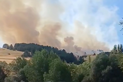 Çankırı'da orman yangını çıktı