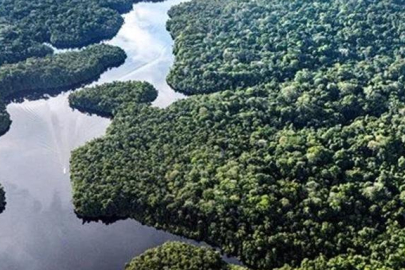 Geri dönüşü olmayacak: Dünya'nın en büyük akciğeri kuruyor!