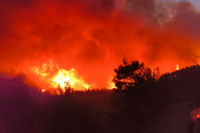 Hatay'da orman yangını