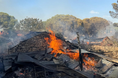 İzmir Bergama’da orman yangını: Alevler evlere sıçradı