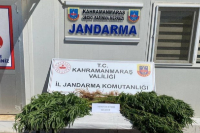 Kahramanmaraş'ta şeşitli suçlardan yakalanan 14 şüpheli tutuklandı