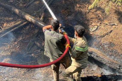 Kahramanmaraş'taki orman yangını kontrol altına alındı