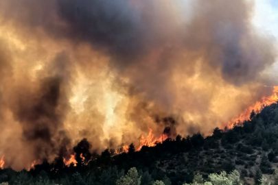 Mersin'de ormanlık alanda yangın çıktı