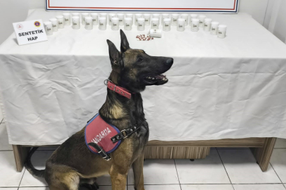 Kırşehir’de bin 823 sentetik hap ele geçirildi: 2 gözaltı