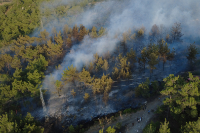 Manisa'daki yangında 5 hektarlık kızılçam ormanı zarar gördü