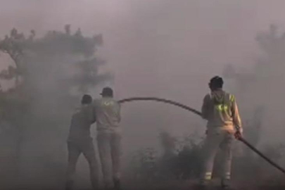 Mersin ve Hatay'da orman yangını! Müdahaleler sürüyor...