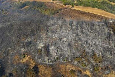 Osmaniye’deki orman yangını kontrol altına alındı