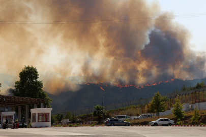 Türkiye - Suriye sınırının sıfır noktasında orman yangını