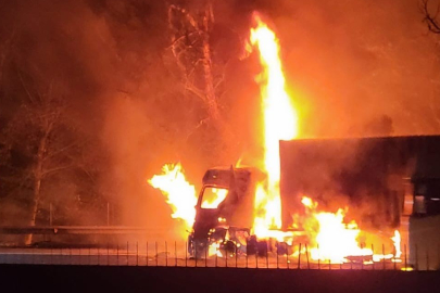 Adana'da otoyolda tırdaki yangın ormanlık alana sıçradı