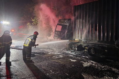 Adana'da tırdan ormanlık alana sıçrayan yangın söndürüldü