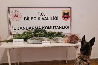 Bilecik’te uyuşturucu operasyonu