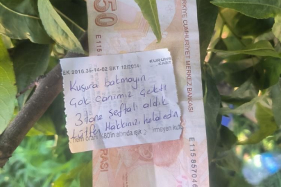 Bursa'da şeftali bahçesinde duygulandıran not