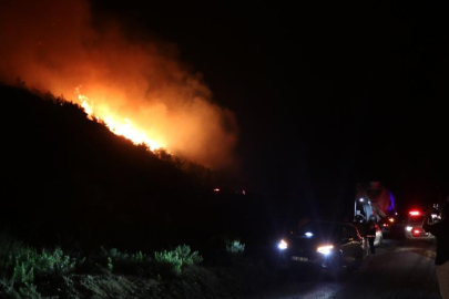Hatay ve Mersin'deki orman yangınları kontrol altına alındı