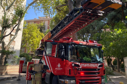 İstanbul Kadıköy’de kuvvetli rüzgar ağacı kırdı