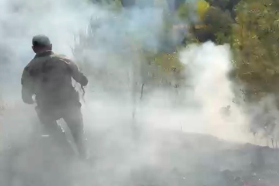 Osmaniye’de orman yangını