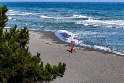 Sakarya'nın üç ilçesinde denize giriş yasağı