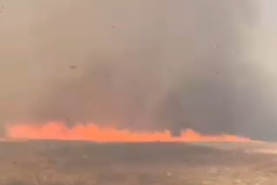 Tekirdağ’da alevler tarla ve ormanı sardı: 10 ev boşaltıldı