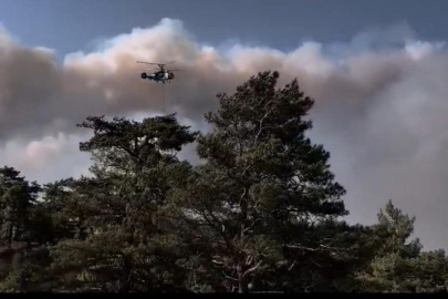 Yeşin Vatanda alevlerle mücadele sürüyor