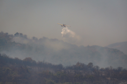 Bursa'da makilik alanda çıkan yangın kontrol altına alındı!