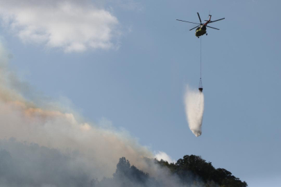 Çanakkale'de çıkan orman yangını büyük ölçüde kontrol altına alındı