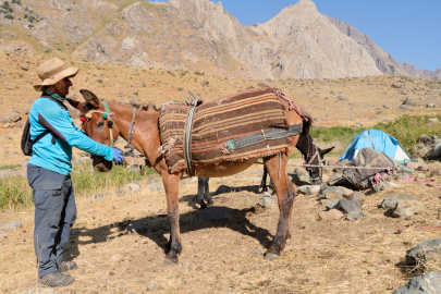 Hakkari'deki zirvelere tırmanan dağcıların ağır yükünü katırlar hafifletiyor