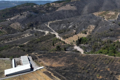 Kocaeli Karamürsel'deki orman yangını tamamen kontrol altında