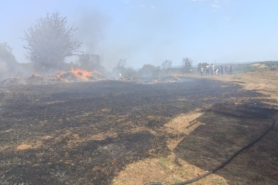 Balıkesir Erdek'te zeytinlik ve otluk alanda çıkan yangın söndürüldü