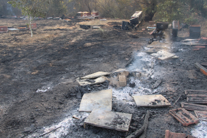 Çanakkale'deki orman yangınında arı kovanları alevlere teslim oldu